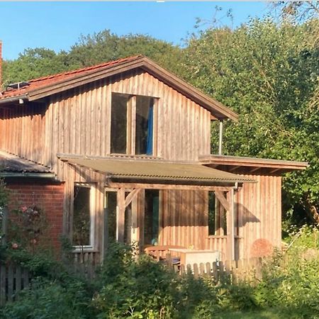Natur Kunst Ferienhaus Neu Darchau Esterno foto